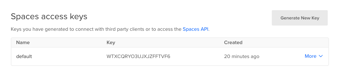 Spaces access key interface w/ one existing default key
