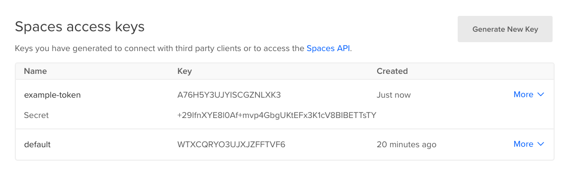 Spaces access key interface w/ a new example key showing both key and secret